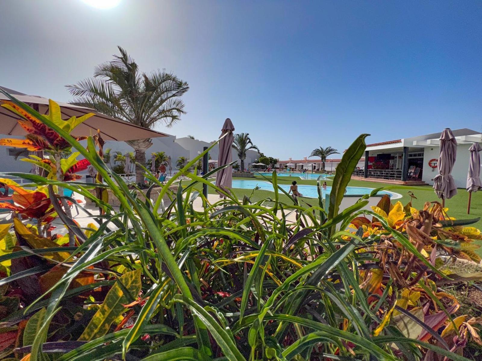 Malibu Park Apartments Sol Costa Adeje  Kültér fotó